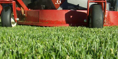 Lawn Mowing, Lawn Care, Grass Cutting, Lawn Maintenance