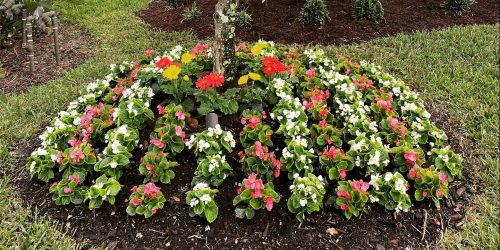 Landscaping, Landscaping Company, Landscaping Contractor, Landscaping Company
