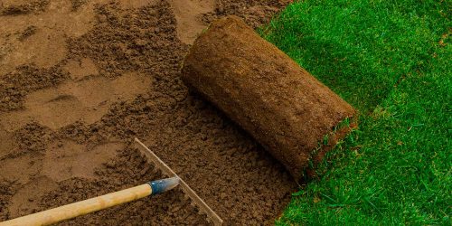 Sod Installation, Sod Installer, New Sod, Sod Company, Sod Contractor